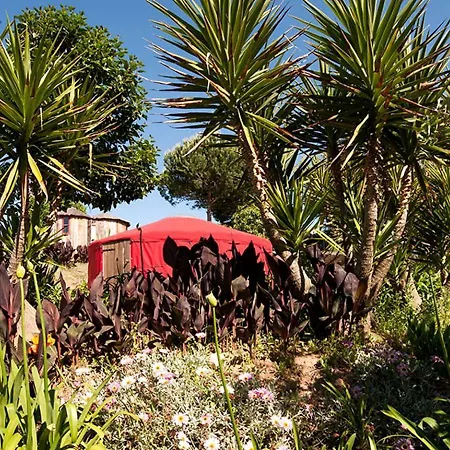 Ferienhaus Stunning Glamping Yurt With A Pool Near The Costa De Prata In Portugal